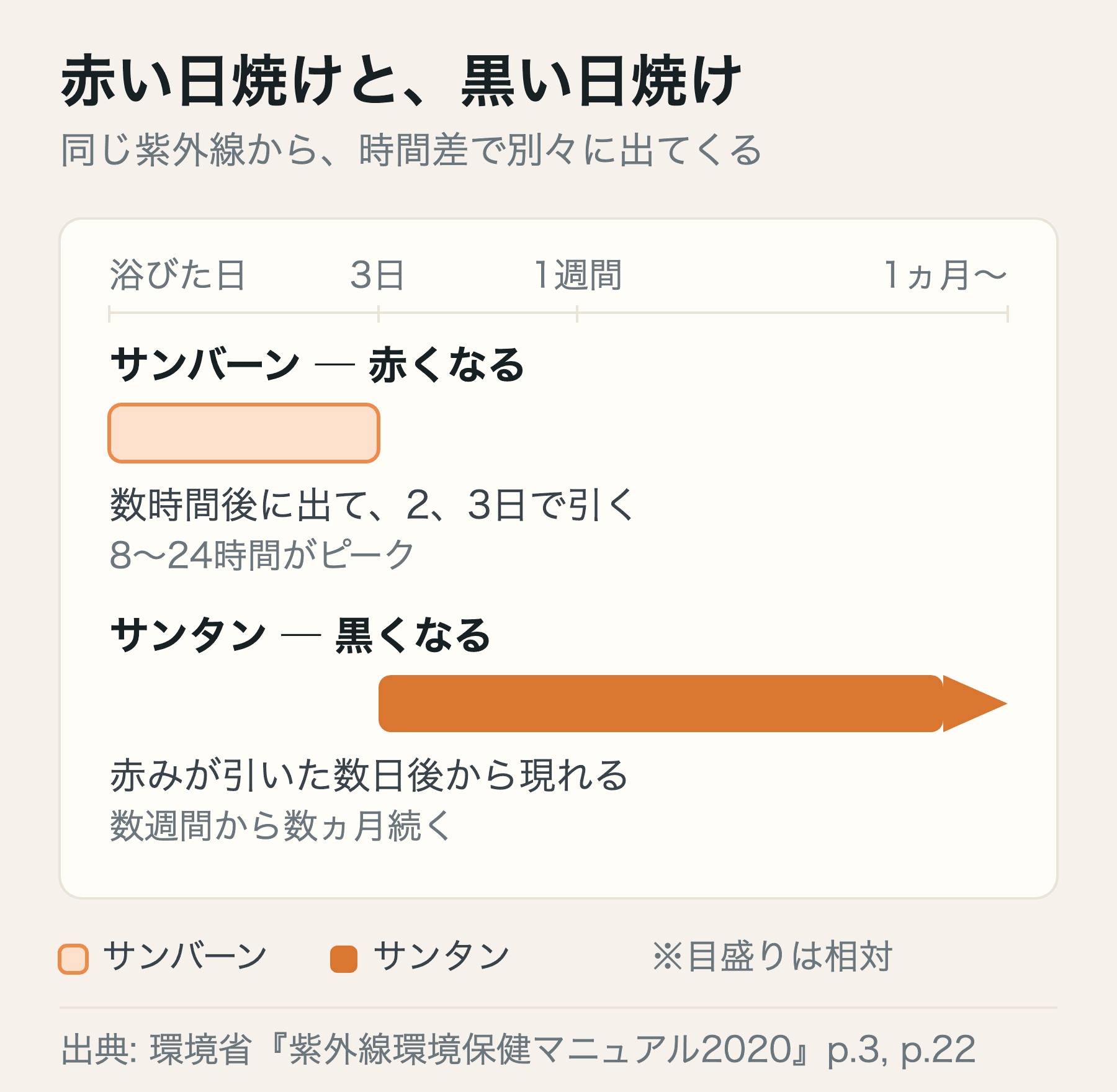 紫外線を浴びてから、赤くなる日焼けと黒くなる日焼けが現れる時期のずれ